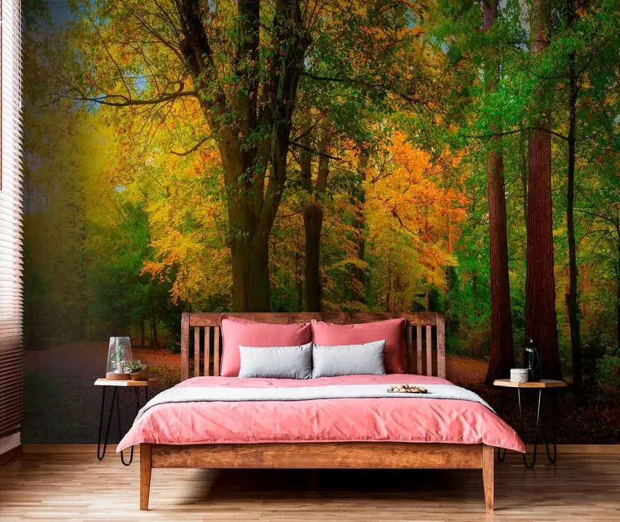 Fototapete Herbst Wald u08547