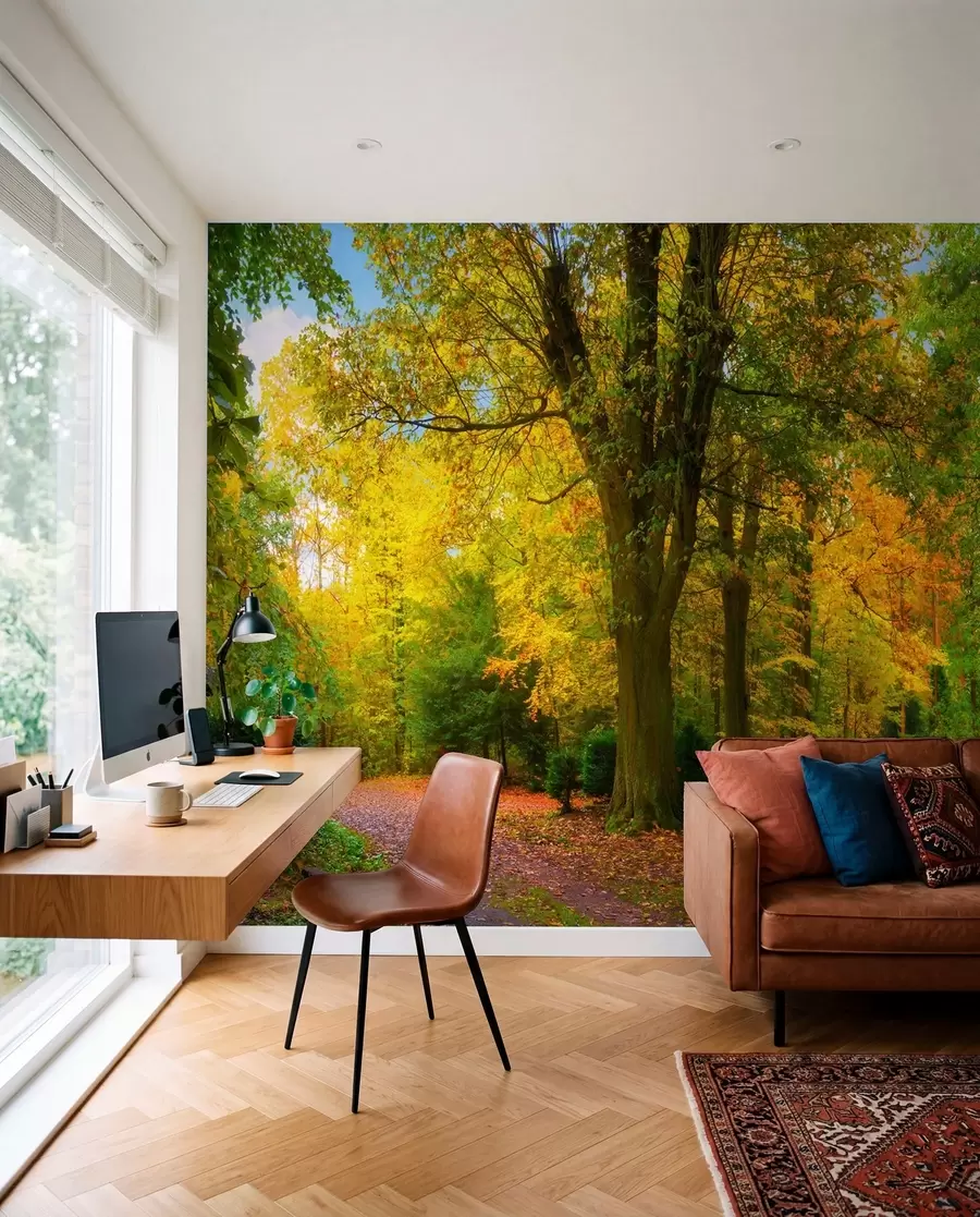 Fototapete Herbst Wald u08547