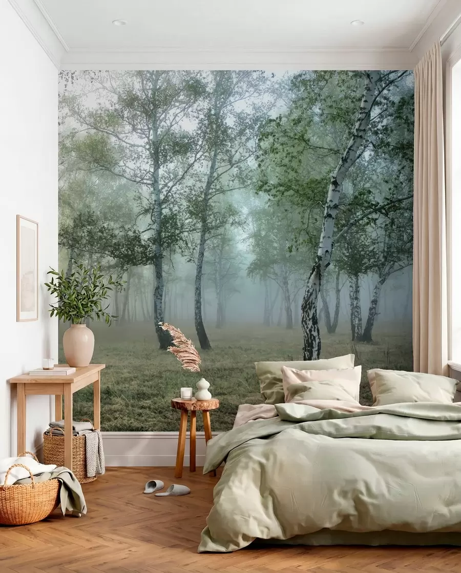 Murale Brume de bouleaux u25820