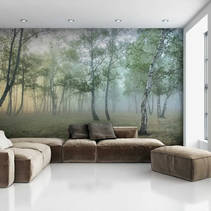 Murale Brouillard Forêt de bouleaux u25820