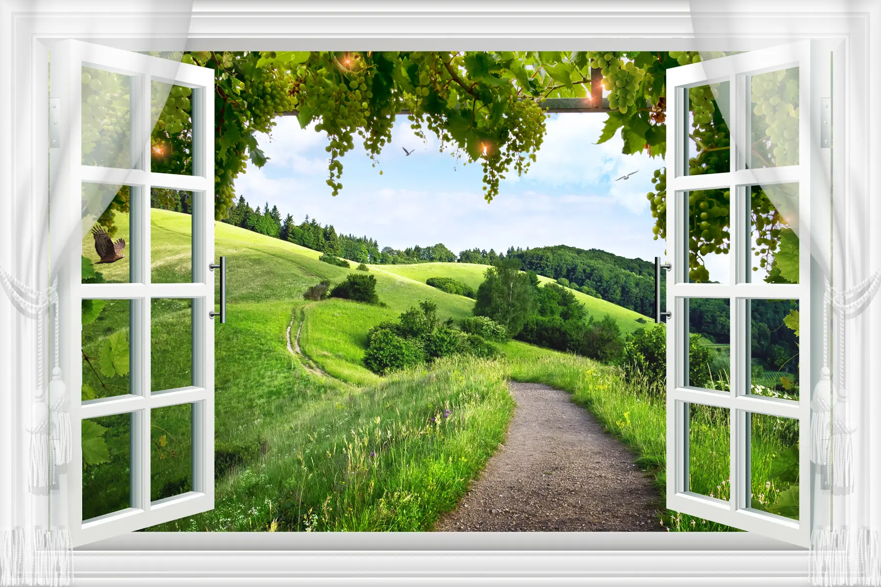 fototapeter Udsigt fra vinduet til lysningen u28196