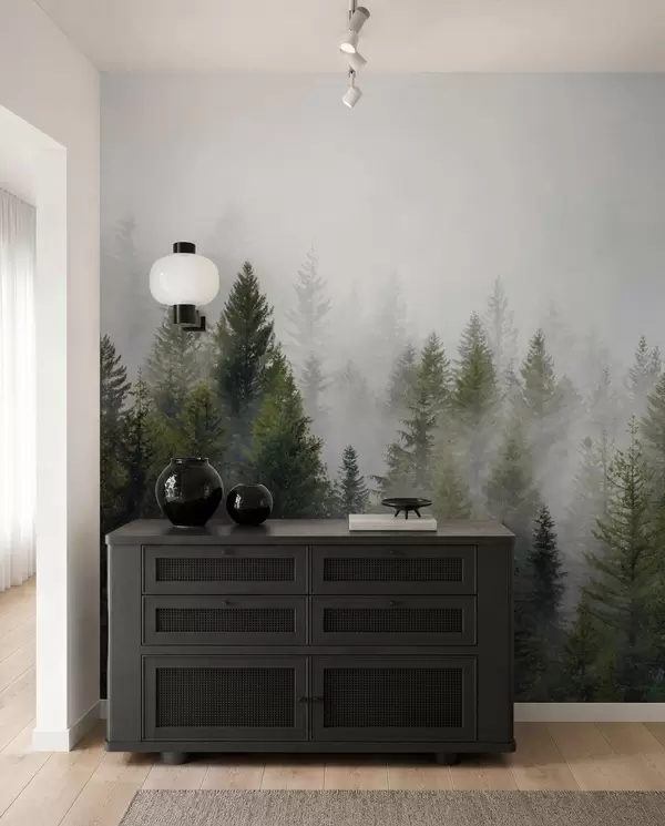 Forêt dans le brouillard