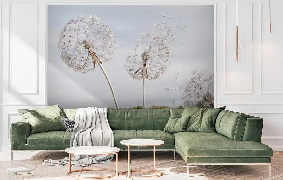 fototapeter Big dandelions u44628