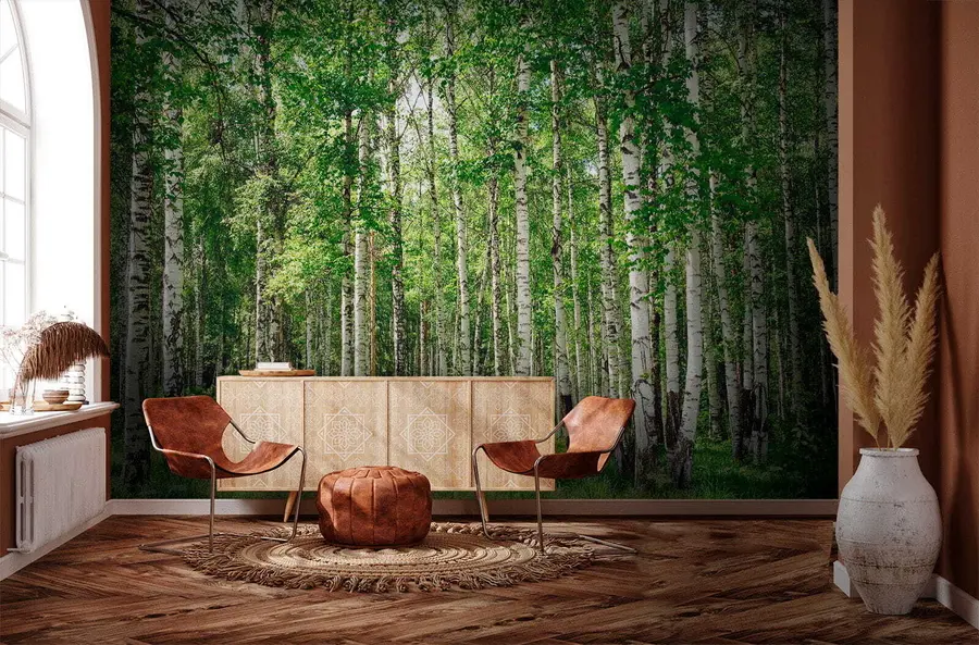Murale Forêt de bouleaux u52530