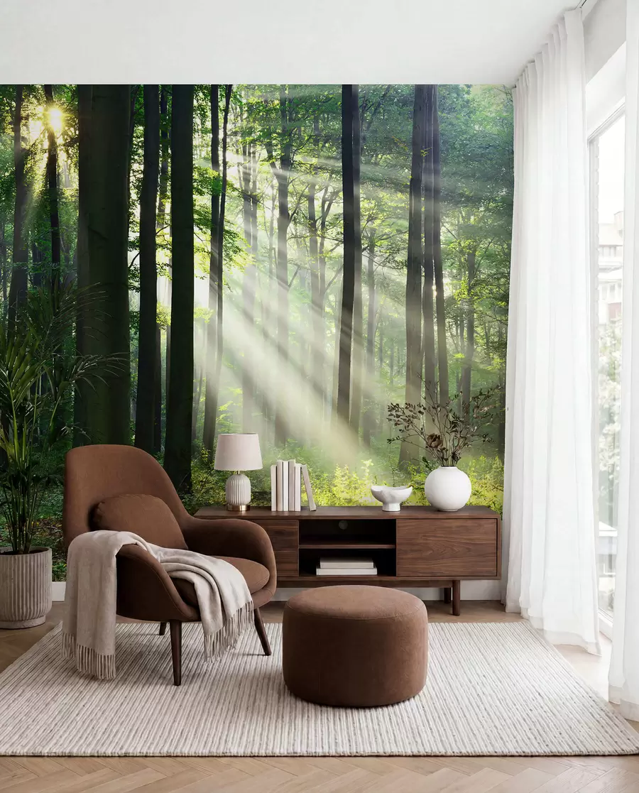Murale Rayons de soleil dans la forêt u56787