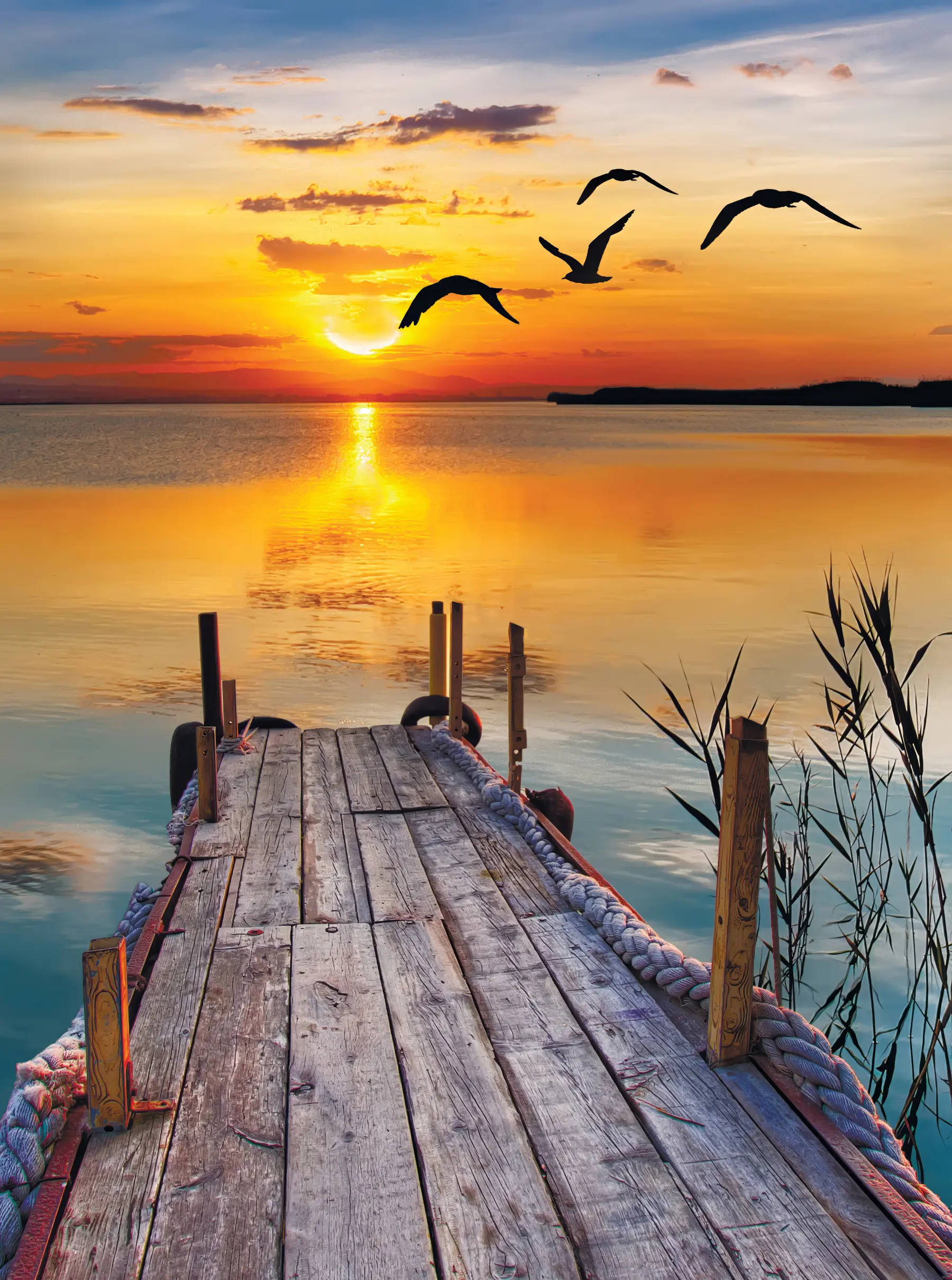 Fototapete Möwen und Pier u57673