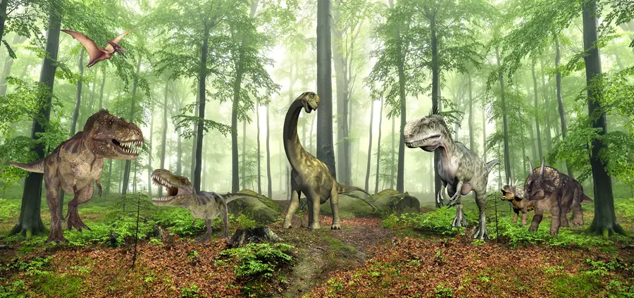 fototapeter Dinosaurer i skoven u60039