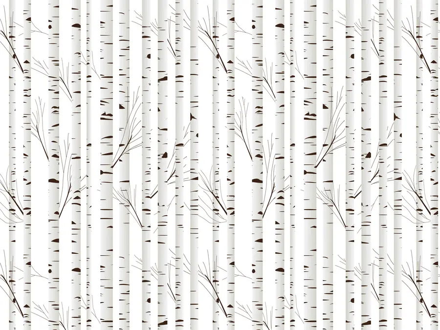 fototapeter Birkeskov u58973