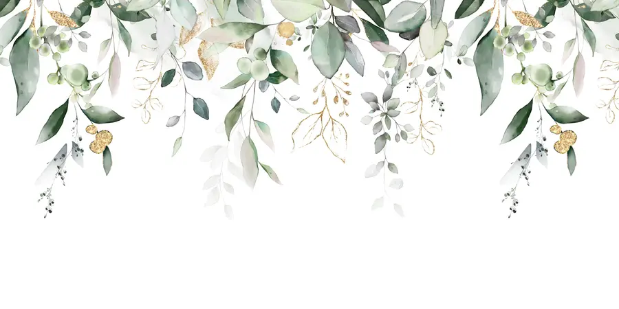 Fototapete Hängendes Eukalyptusblatt auf weißem Hintergrund u95506d2