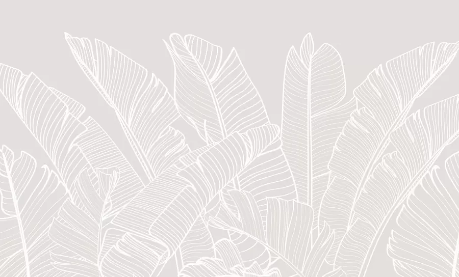 fototapeter Tropiske bananblade minimalisme ny trend w08210