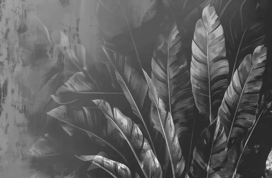 fototapeter Sorte blade w00971