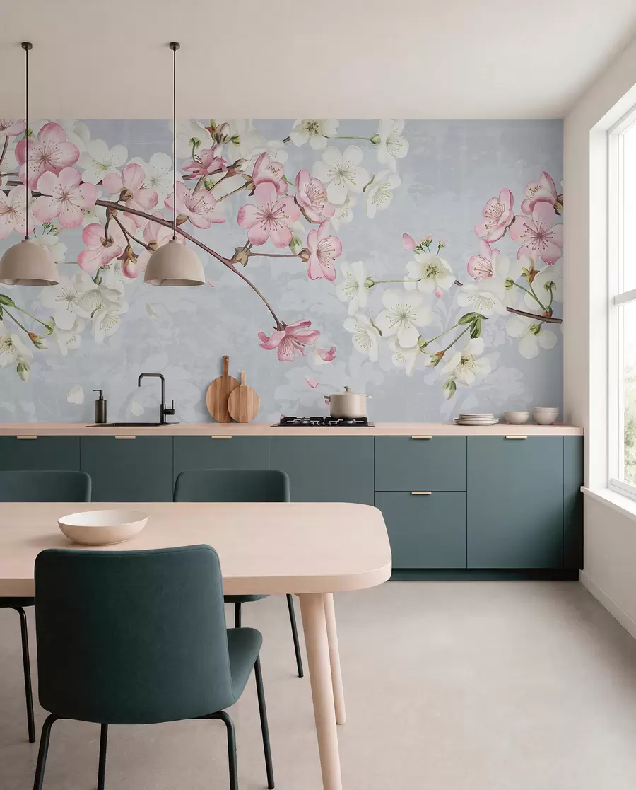 fototapeter Lyserøde og hvide kirsebærblomster i fuldt flor med bløde kronblade, der falder mod en struktureret blå baggrund w08254