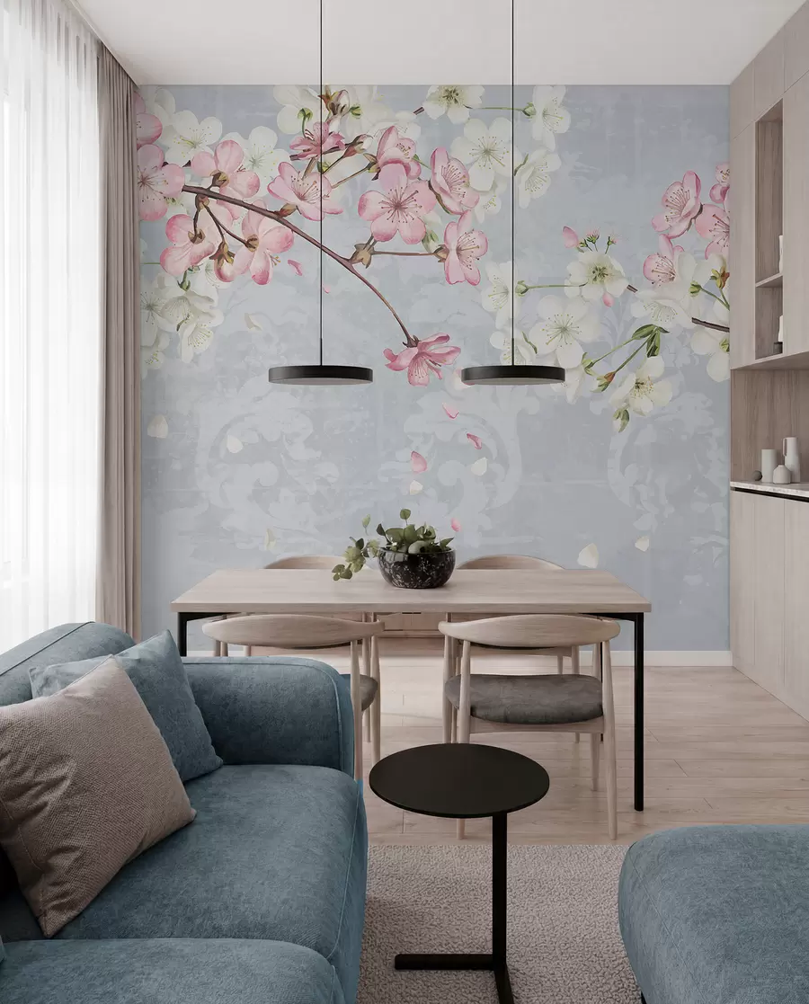 fototapeter Lyserøde og hvide kirsebærblomster i fuldt flor med bløde kronblade, der falder mod en struktureret blå baggrund w08254