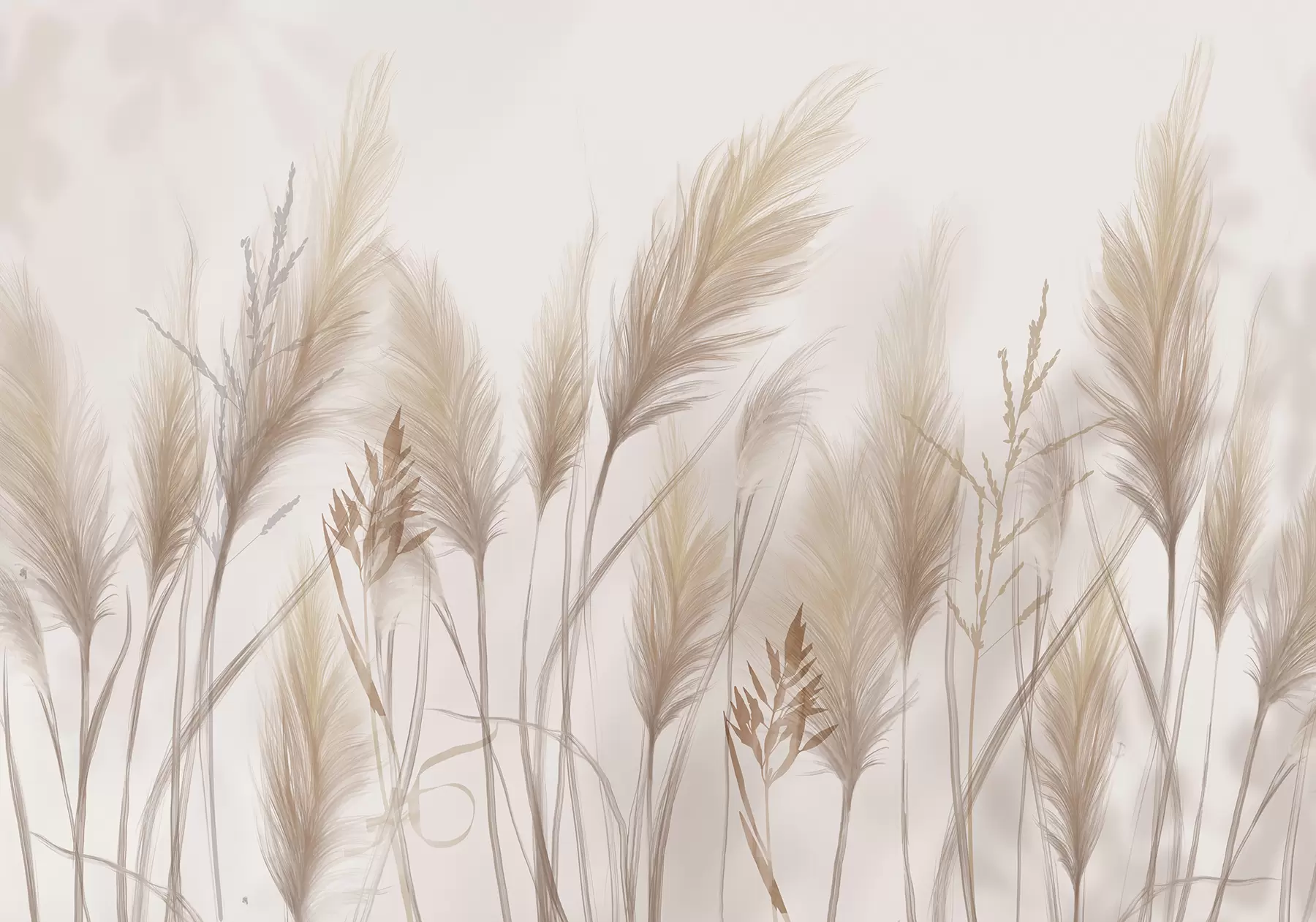 Fototapete Hohe beige Grashalme Ährchen wiegen sich im Wind vor einem weichen, hellen Hintergrund w08268