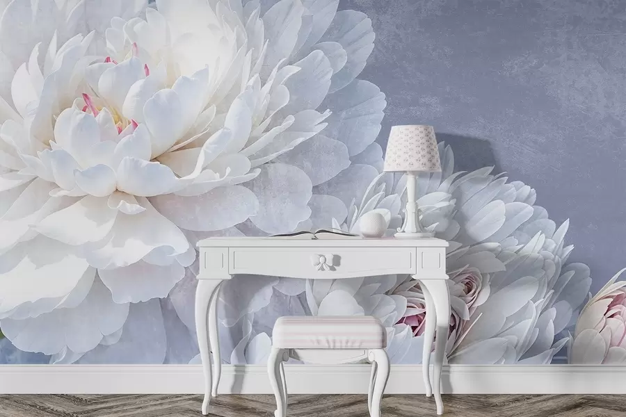 Fototapete Weiße, detaillierte Pfingstrosenblüten mit weichen, zarten Blütenblättern vor einem leicht pastellblauen, strukturierten Hintergrund w08379