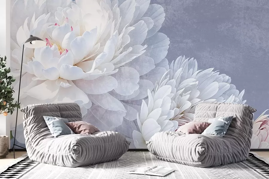 fototapeter Hvide, detaljerede pæonblomster med bløde, delikate kronblade mod en lys pastelblå struktureret baggrund w08379