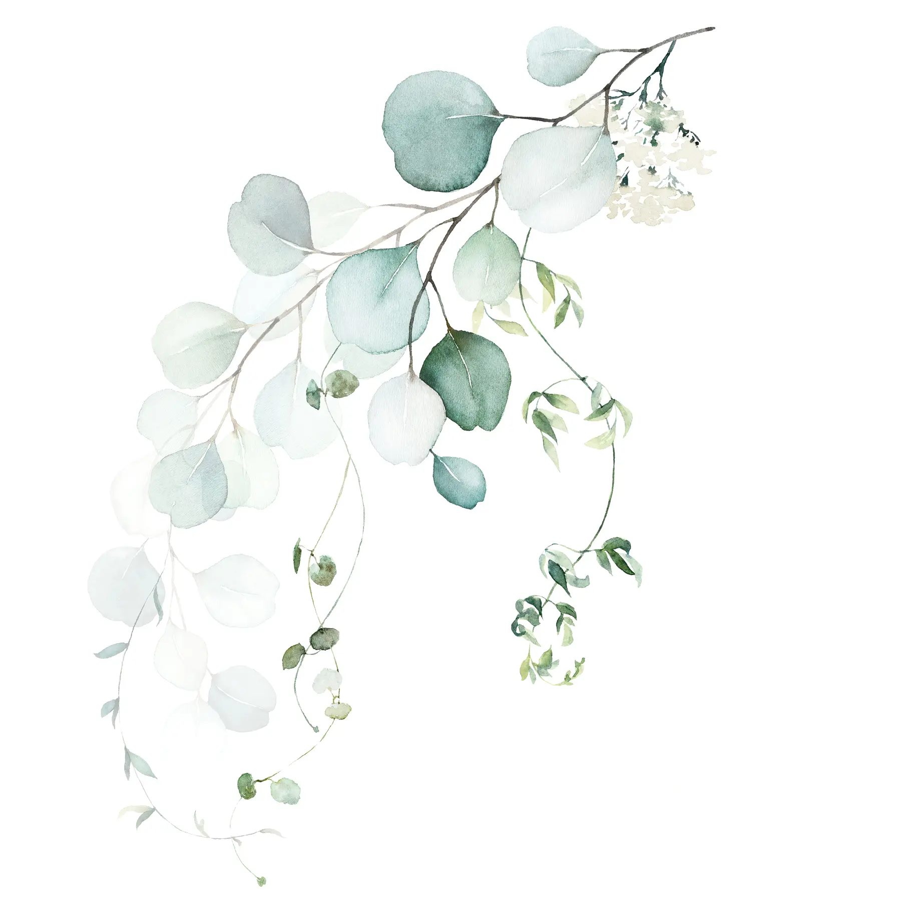 Murale Branche avec feuilles u51026