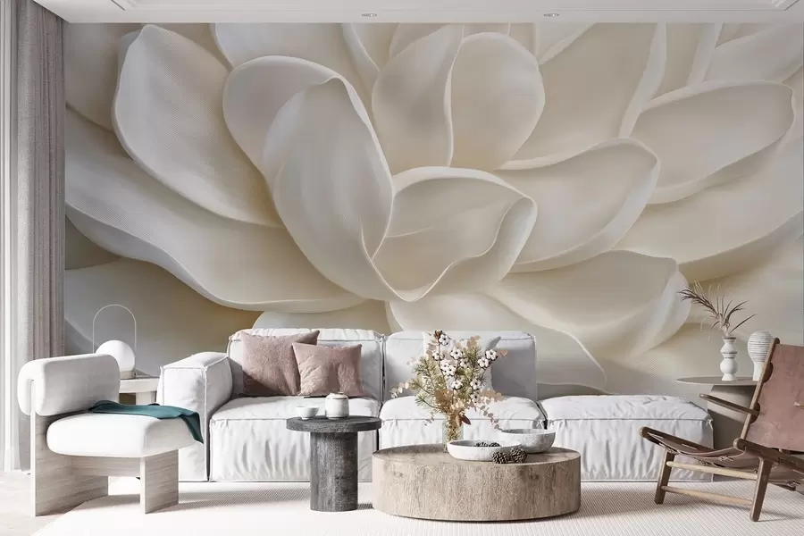 Fototapete Eine helle sukkulente Blüte in Nahaufnahme w08563