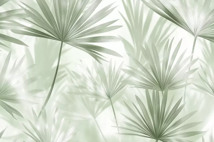 Fototapete Palmenblätter, florales Muster, Minimalismus, tropisch, grüne Farben w03152v2