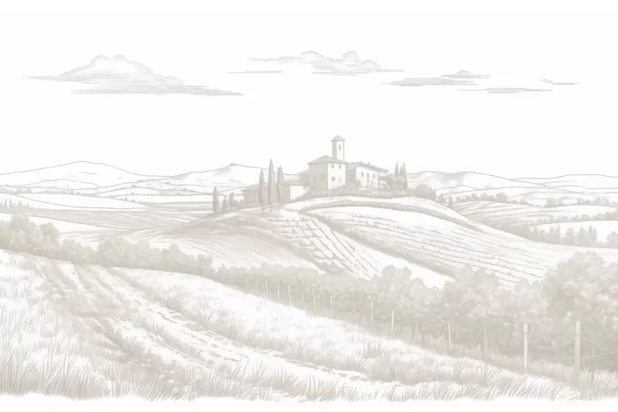 Fototapete Toskana Landschaften, Italien, Weinberge, Natur, alte Burg, beige Farben w03349