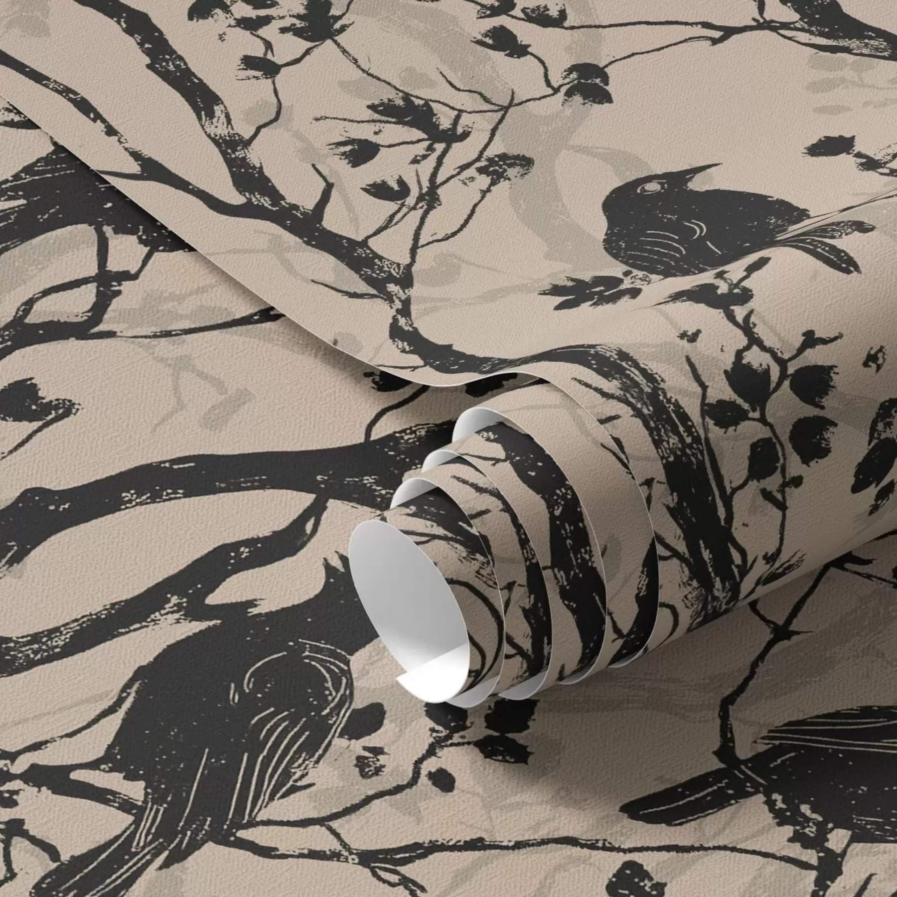 fototapeter Krager på grene a00082