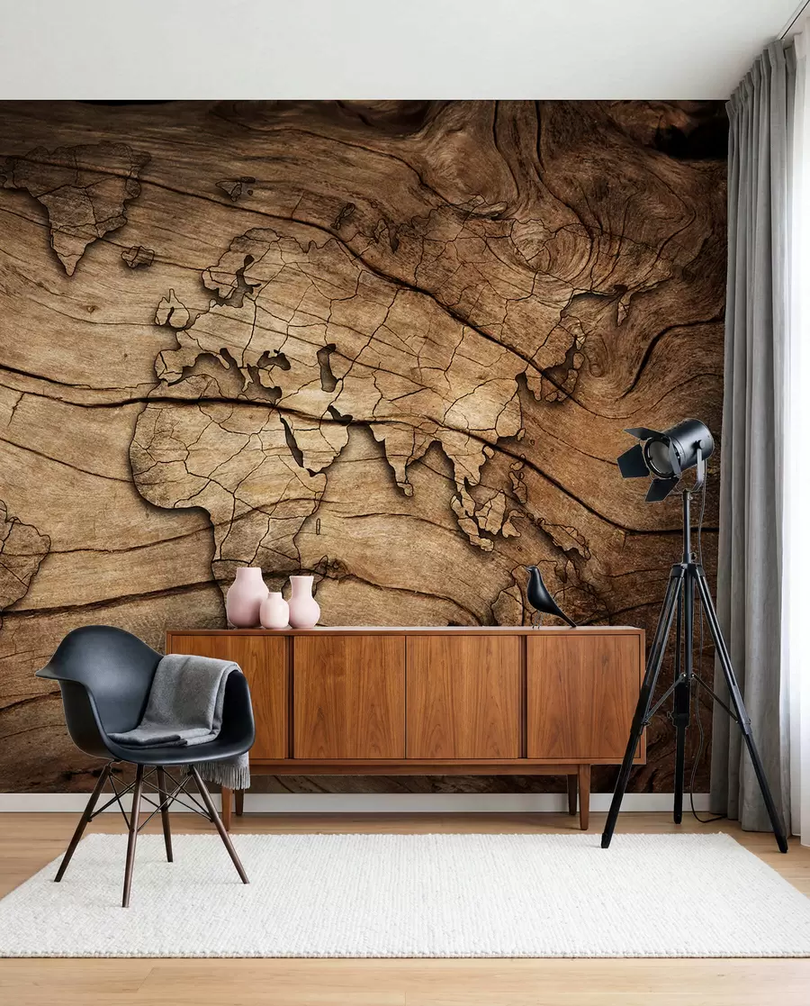 Murale Carte du monde sur bois u53146