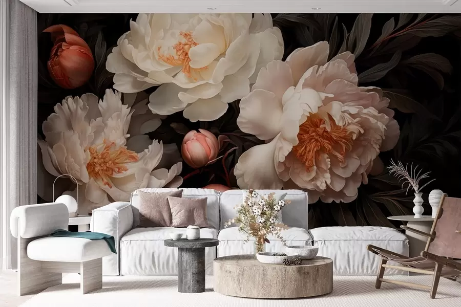 Fototapete Weiße große Pfingstrosen mit roten Knospen auf dunklem Hintergrund w08965