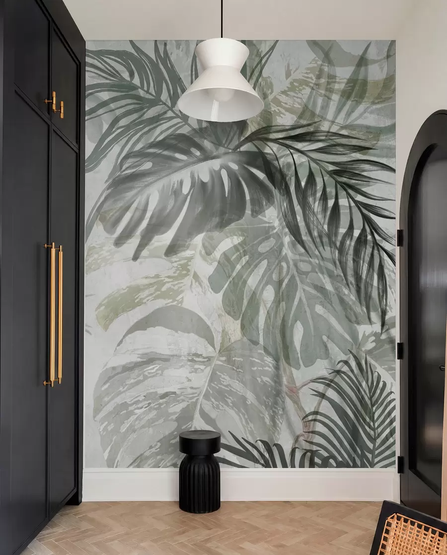 fototapeter Monstera og palmeblade i grønne og grå nuancer, botanisk, tropisk løv, jungleplanter, struktureret baggrund w09011