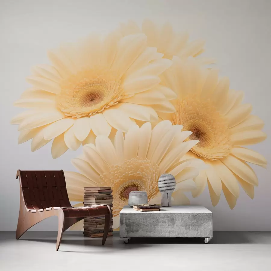 Murale Gerberas jaunes w03929