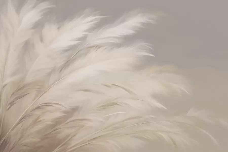 Murale Graminées douces et pelucheuses dans les tons beige et gris w03992