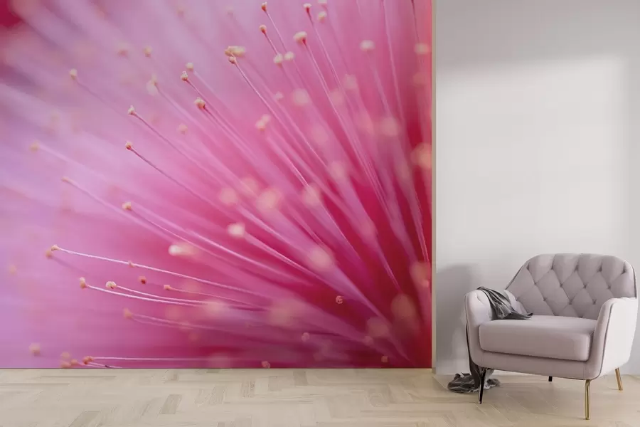 Fototapete Rosa Staubgefäße in Makroaufnahme, zarte Abstraktion w04154