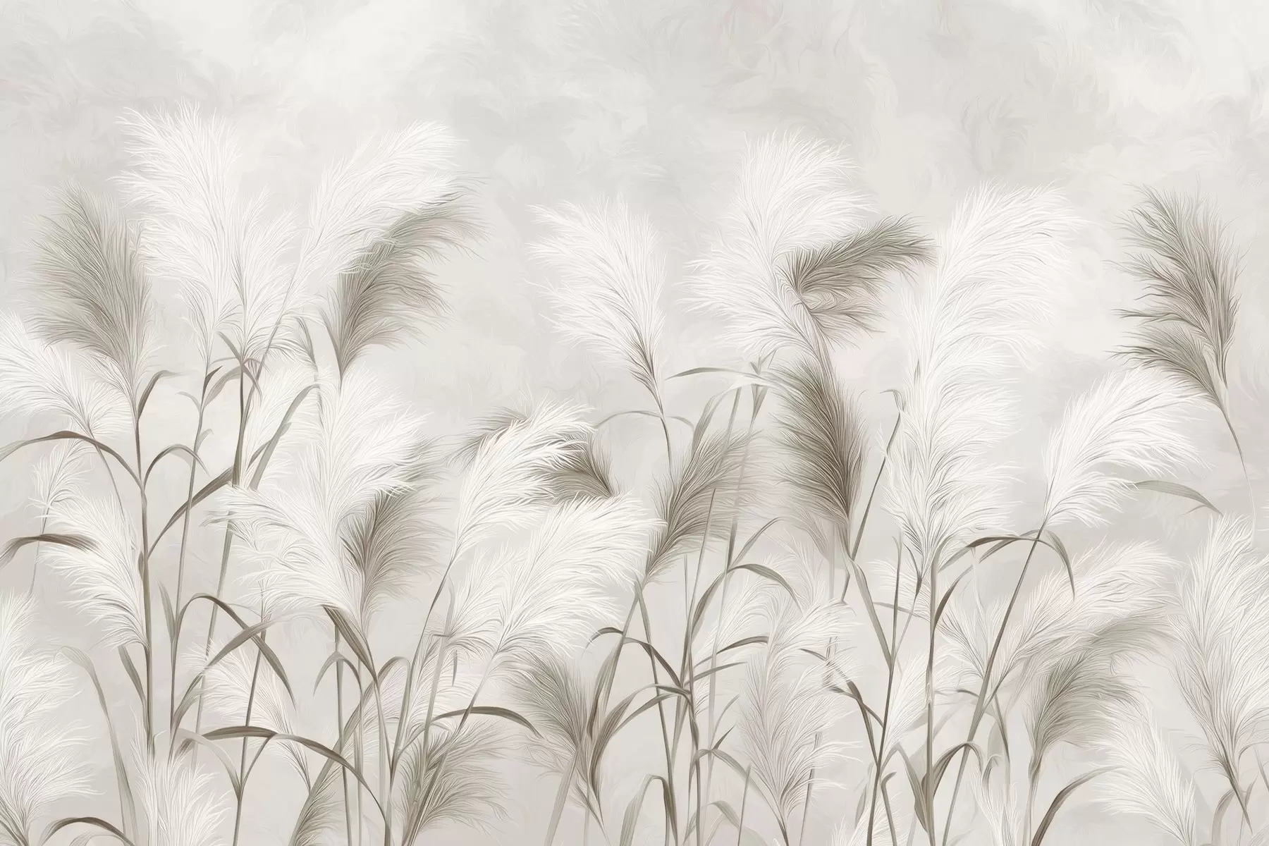 fototapeter Elegant pampasgræs blomstrer i grå og brune toner w09150