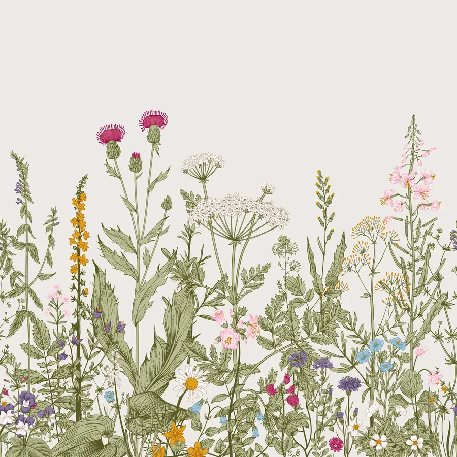 fototapeter Planter i boho-stil u71743