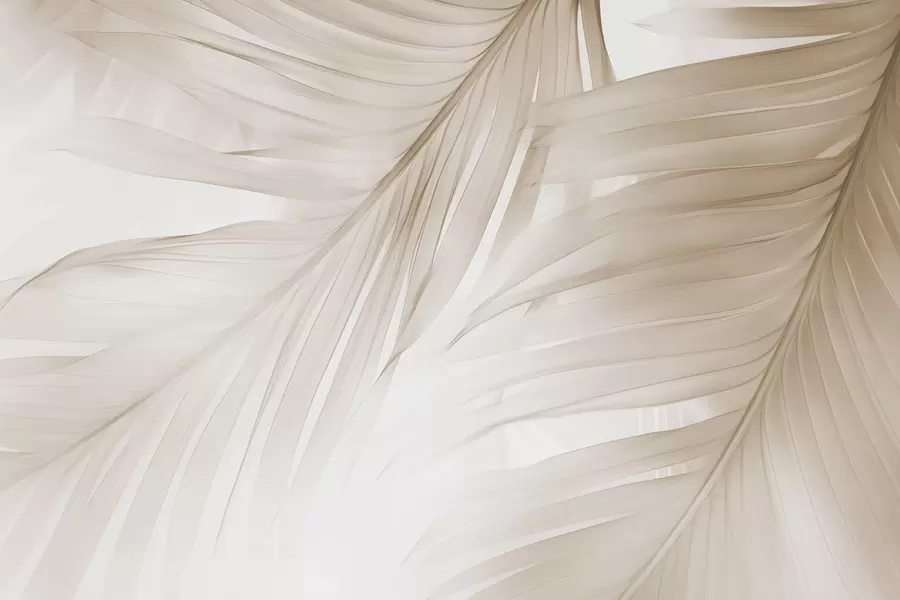 fototapeter Bregneblade w04727