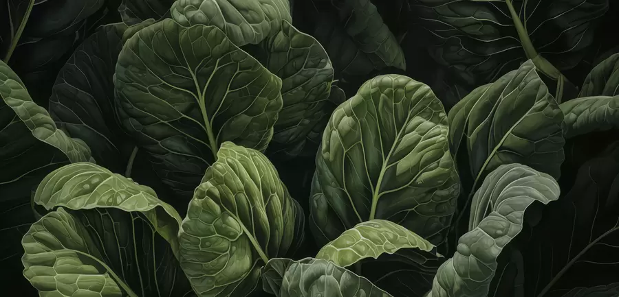 Fototapete Verspielte grüne Blätter w05043