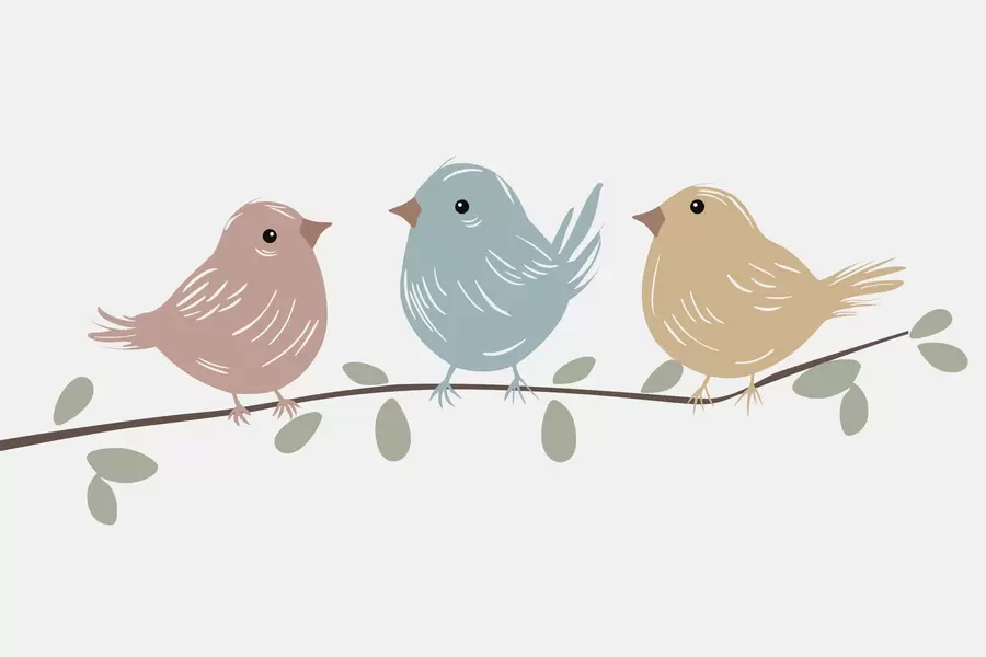 Fototapete Vögel auf einem Ast w05099