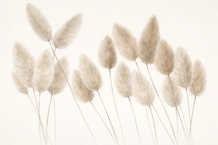 fototapeter Markaks w05175