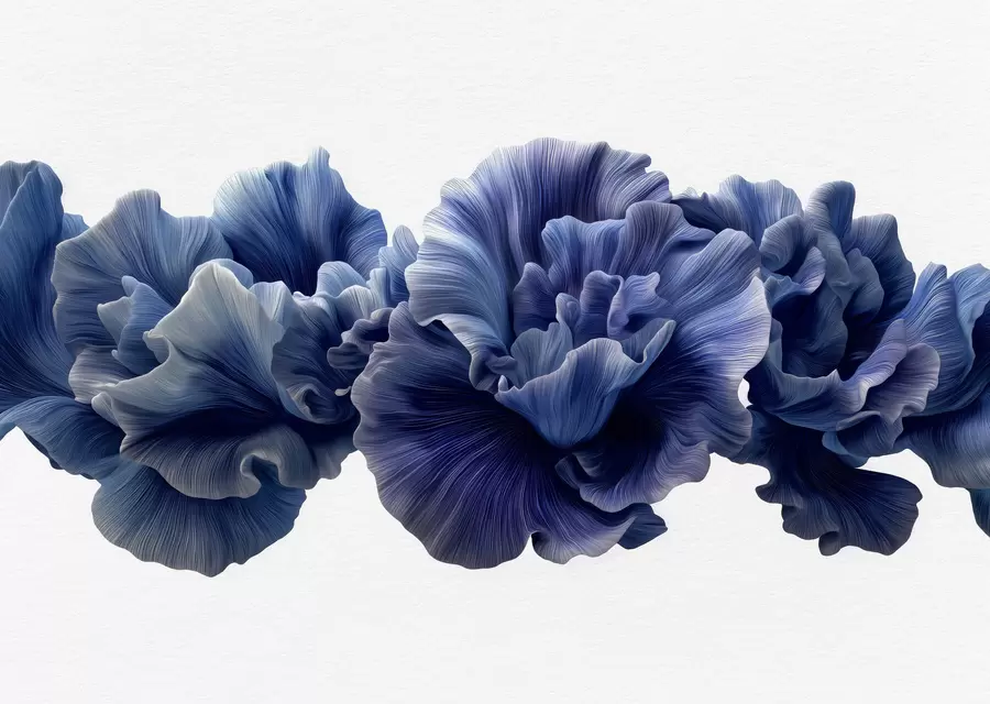 fototapeter Luksuriøse kurver af kronblade w05249