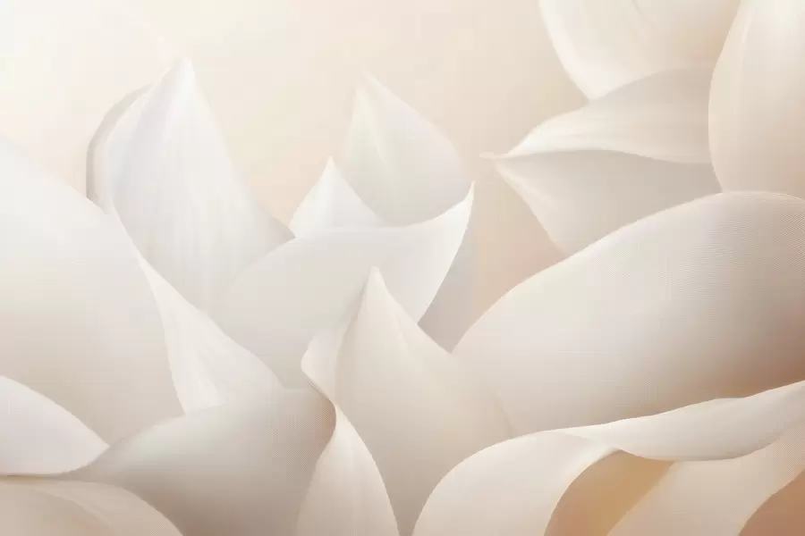 fototapeter Bløde ferskenfarvede kronblade w09716