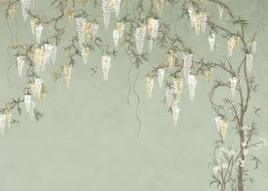 fototapeter Blomstrende grene med hvide blomster og fugle på grønt w05394