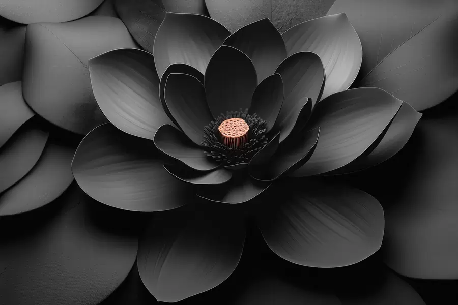 Fototapete Minimalistische schwarze Blume mit Blütenblättern und einem kontrastierenden, warmen Blütenkern w09721