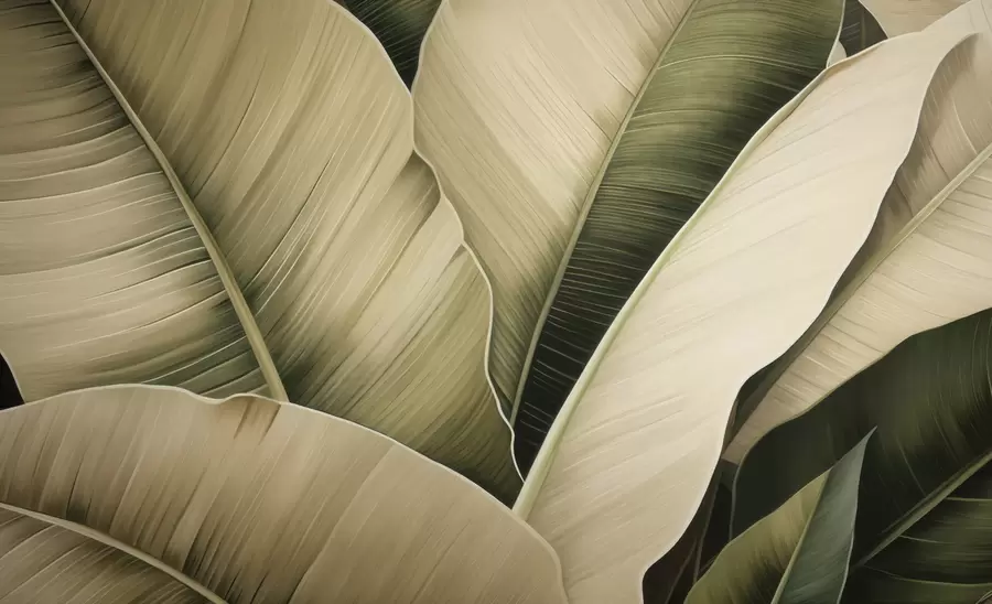 Murale Feuilles de bananier, longues feuilles w05403