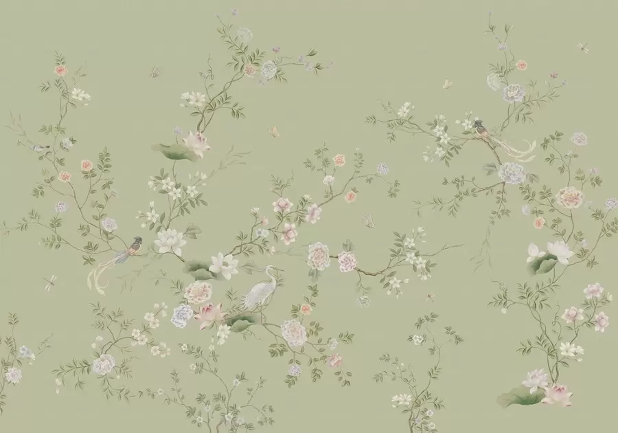 fototapeter Blomstrende grene med fugle på lysegrøn baggrund w05416