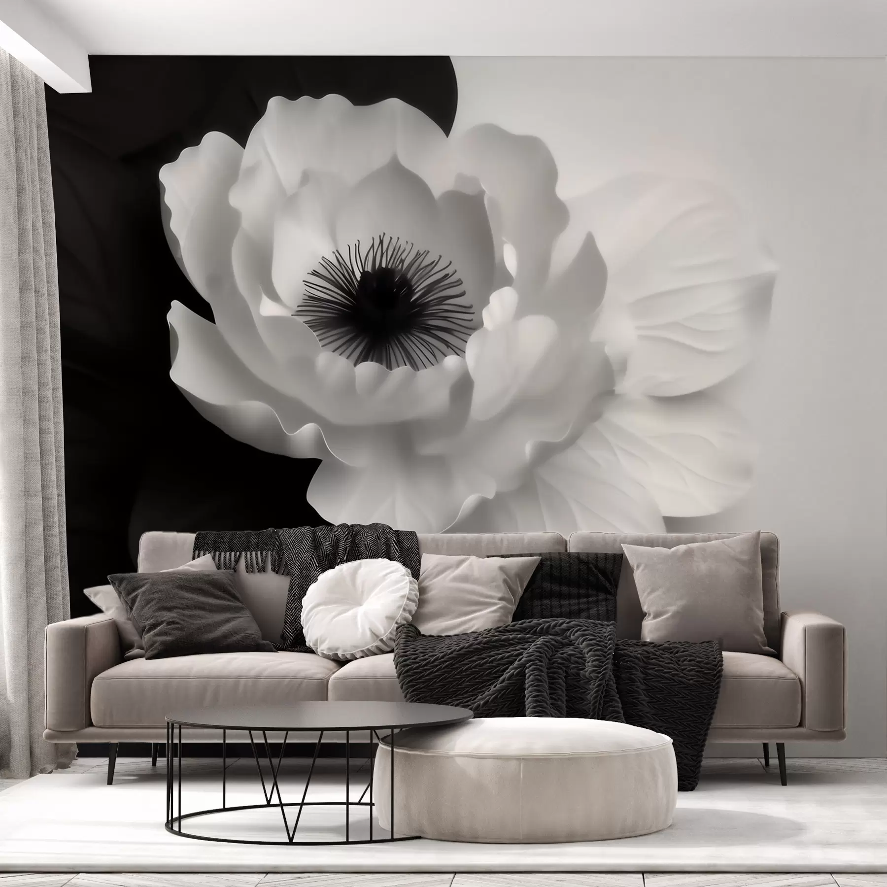 fototapeter En kontrastrig hvid blomst med mørkt midterfelt på en sort-hvid baggrund w09852
