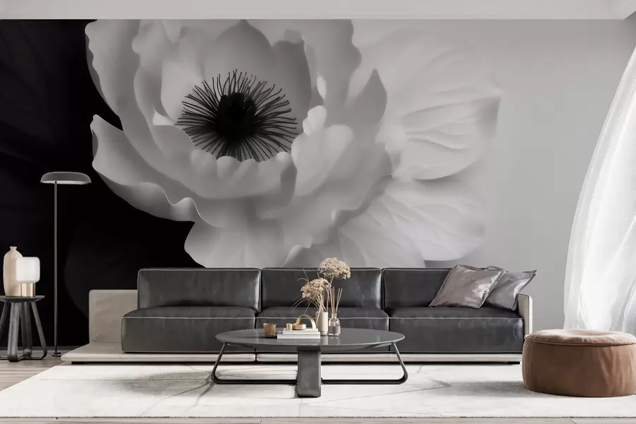 fototapeter En kontrastrig hvid blomst med mørkt midterfelt på en sort-hvid baggrund w09852