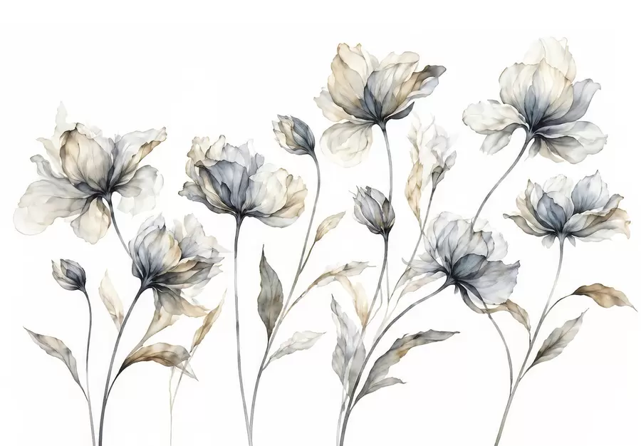 fototapeter Elegante, luftige blomster med gennemsigtige, lagdelte kronblade på lange, spinkle stilke w05579