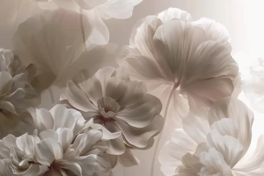 fototapeter Abstrakte, cremefarvede magnoliablomsterblade w09937