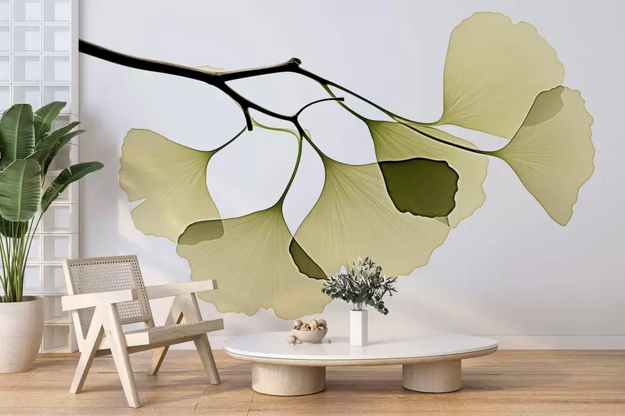 Murale Feuilles en éventail du ginkgo w09968