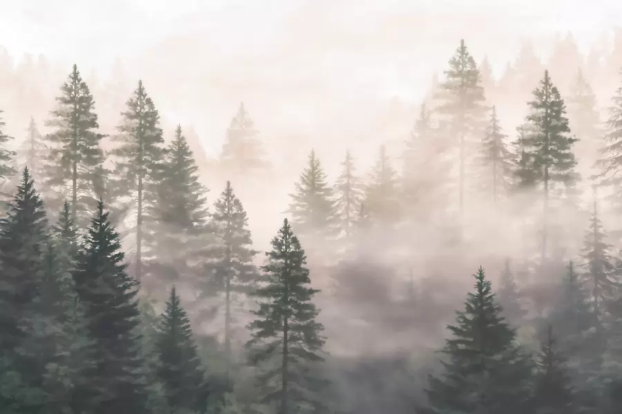 Murale Forêt de conifères brumeuse aux tons vert foncé, dans un style aquarelle w09929