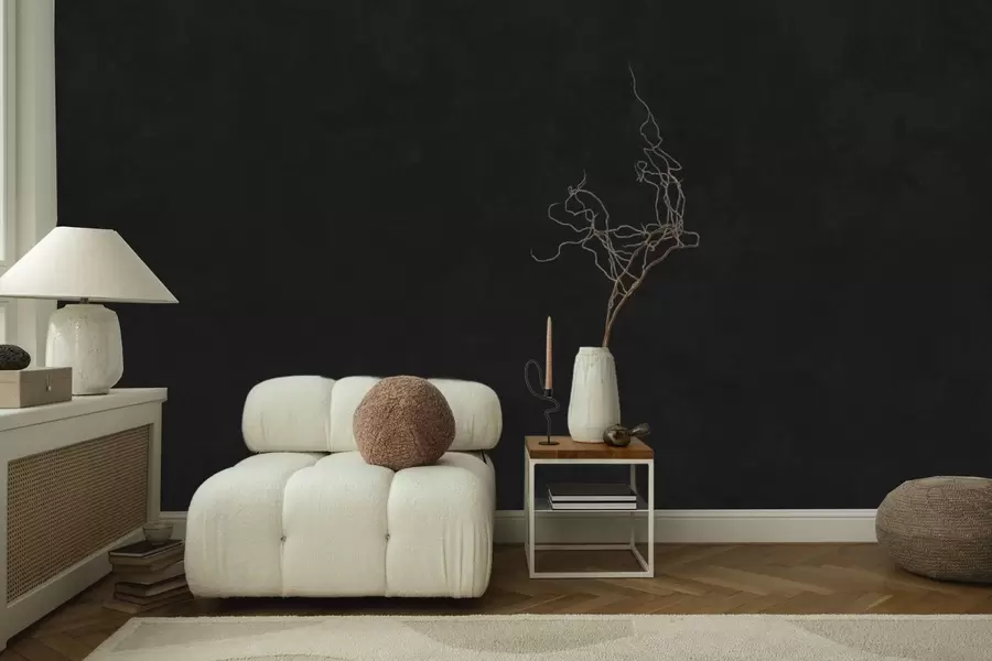 Murale Une teinte charbon foncé à la texture douce, avec des dégradés fumés subtils w05814v4